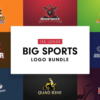 Sports Logo Templates Bundle